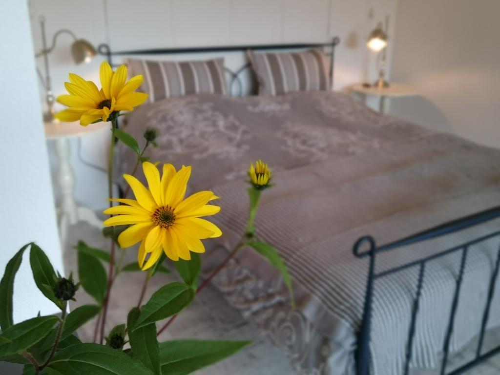 De Rolders Bed & Breakfast Wapenveld Ngoại thất bức ảnh